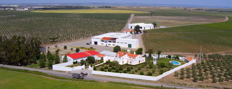 Monte Novo & Figueirinha