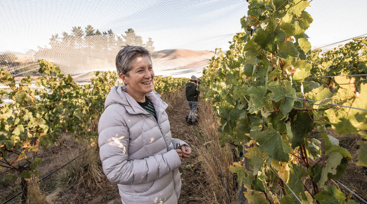 Jules Taylor Wines
