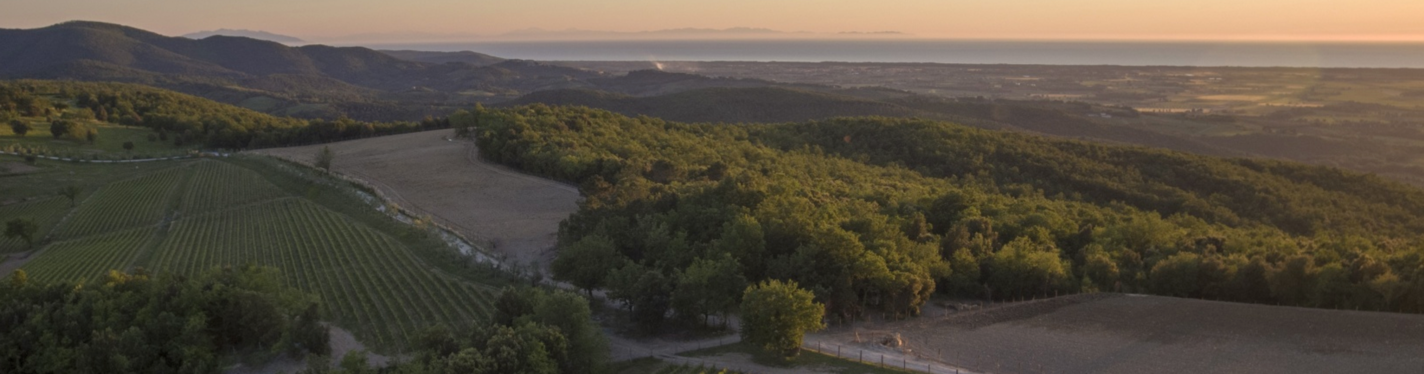 Tenuta Sette Cieli
