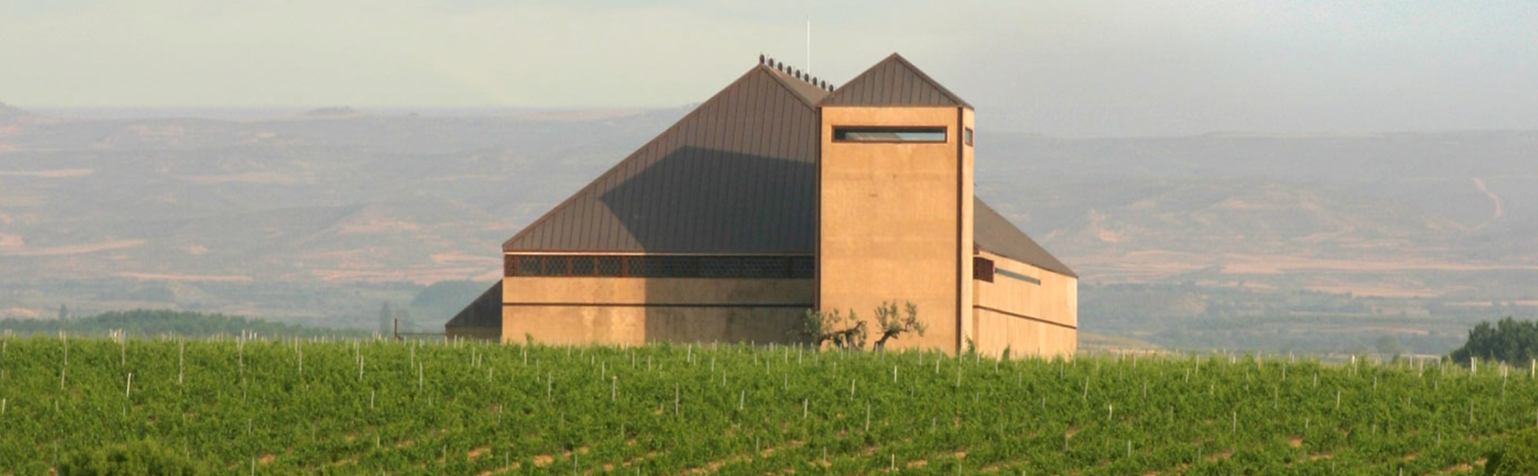 Bodega Guelbenzu