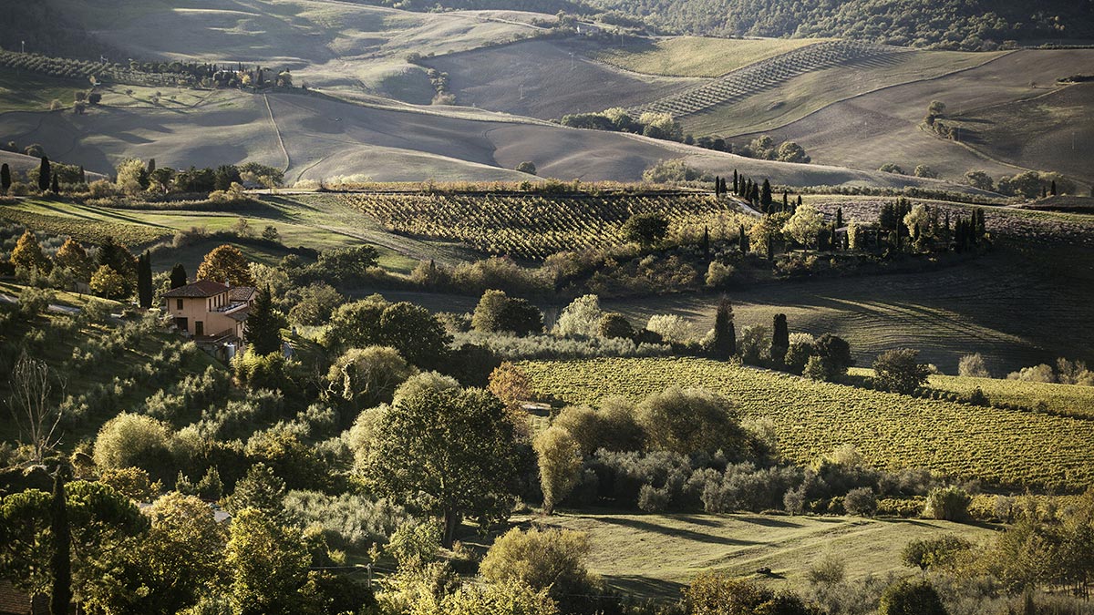 Azienda Agricola Canneto