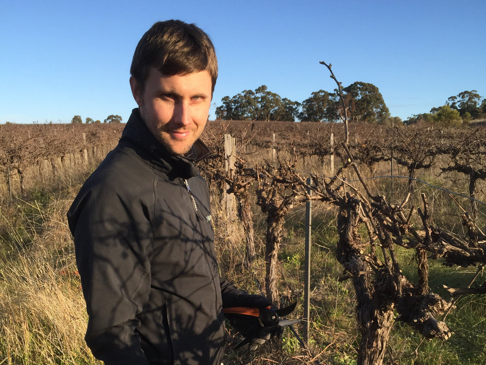 Architects of Wine