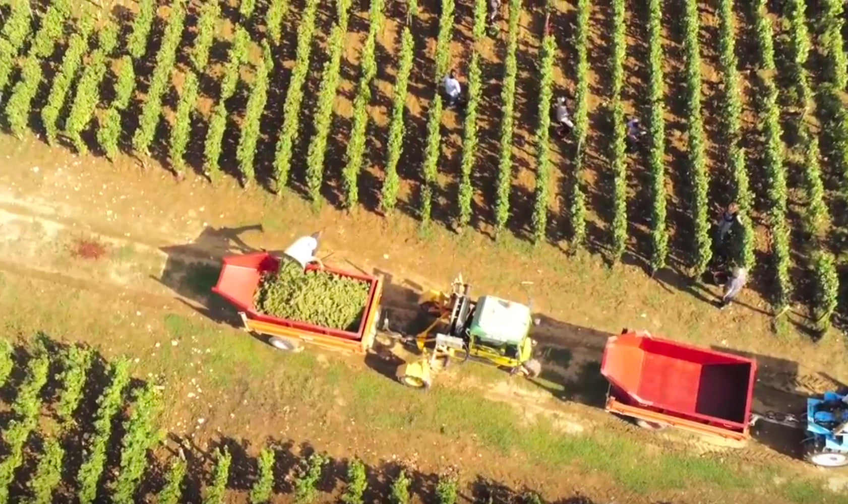 Domaine Fernand & Laurent Pillot
