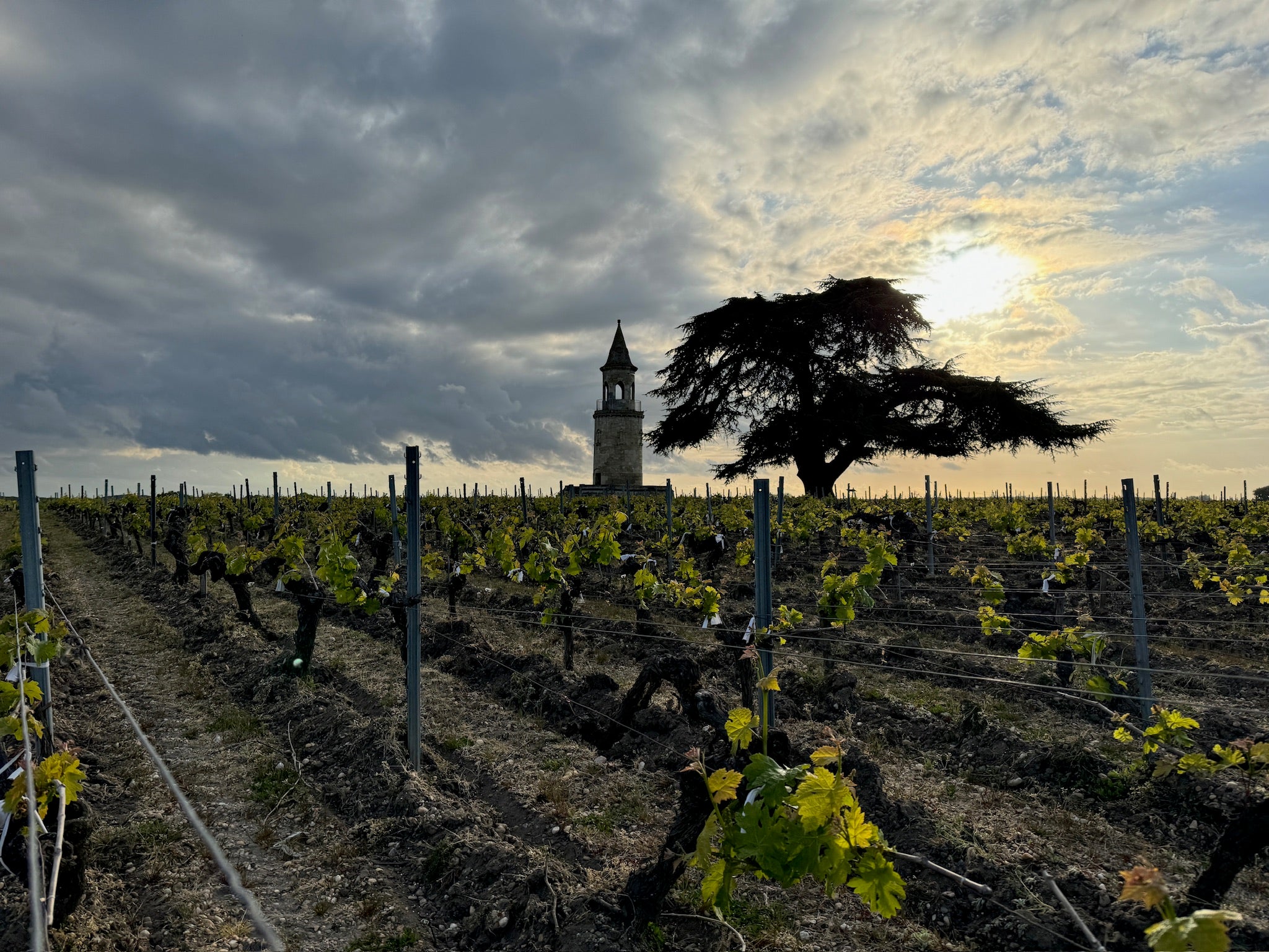 Chateau La Tour de By Dinner at The Peat Inn
