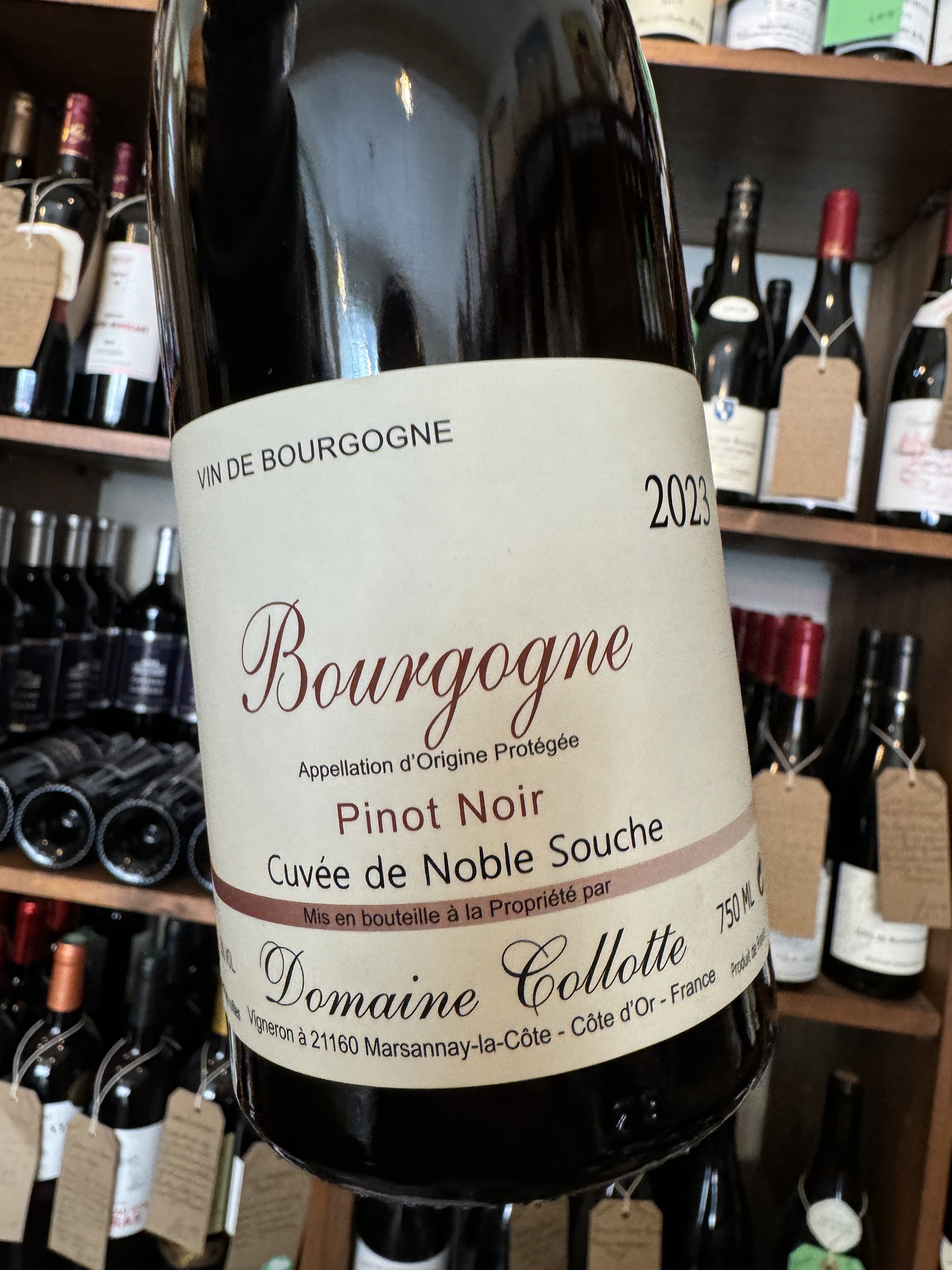 Domaine Collotte Bourgogne Rouge 2023 75cl