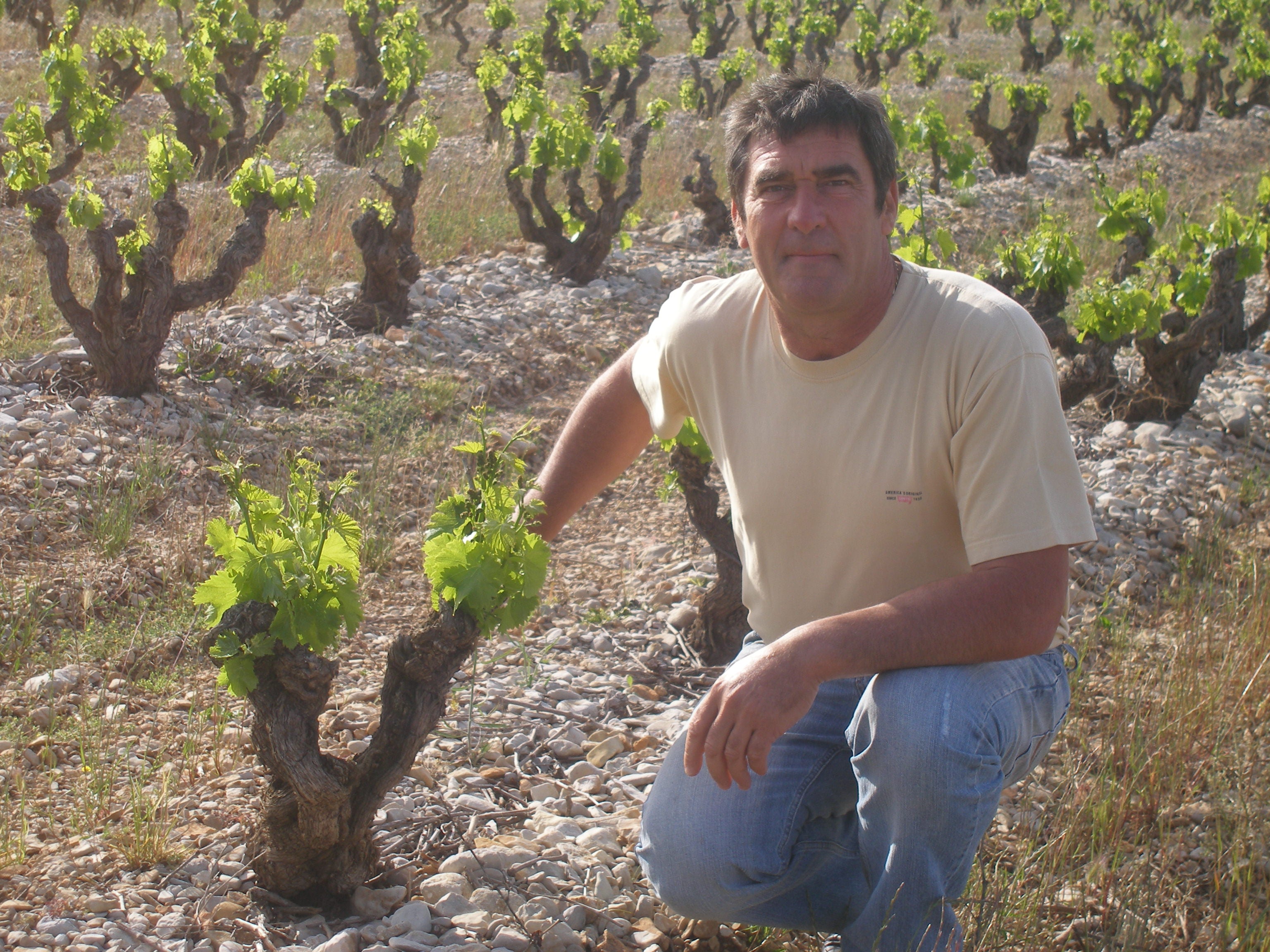 Latour Bel Air Cotes du Rhone 2019 75cl
