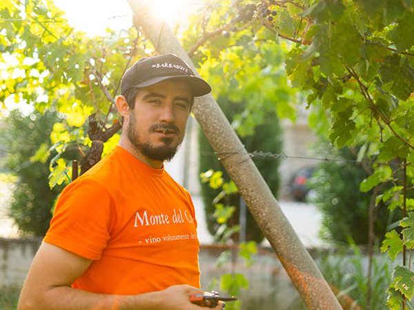 Marco Barba Barbabianca 2020 75cl