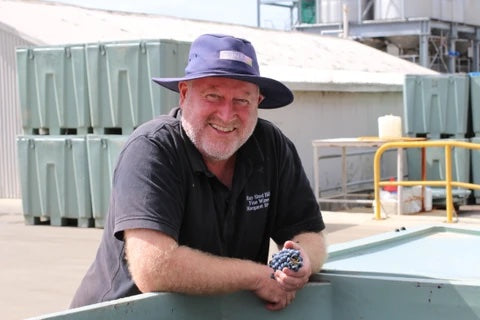 Pitchfork Shiraz 2020 75cl