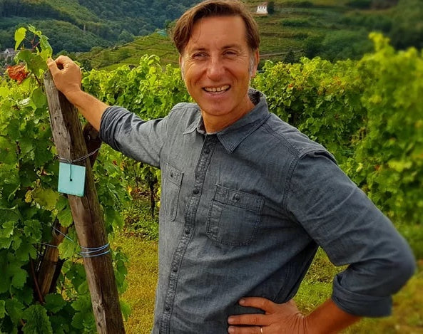 Domaine Mittnacht Gyotaku Vin d'Alsace Gentil 2018 75cl