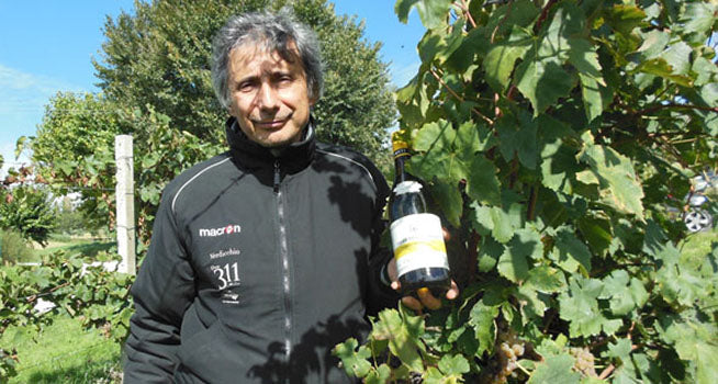 Piersanti Terre di Sampaolo Verdicchio dei Castelli di Jesi Classico Superiore 2019 75cl